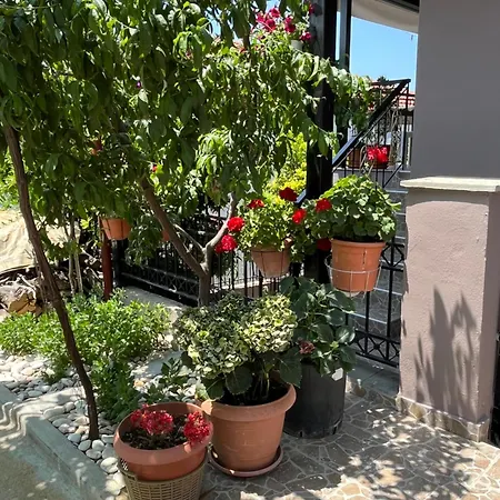 Pandeklare Lägenhet