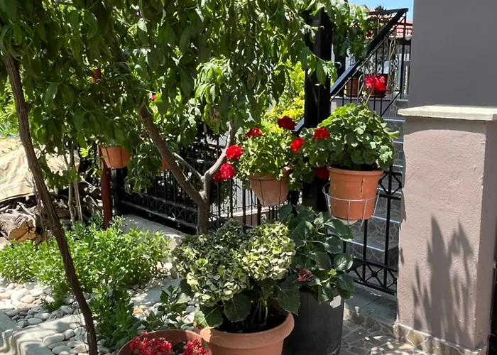 Pandeklare Apartament