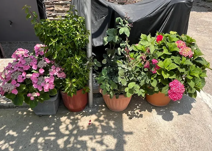 Pandeklare Διαμέρισμα *